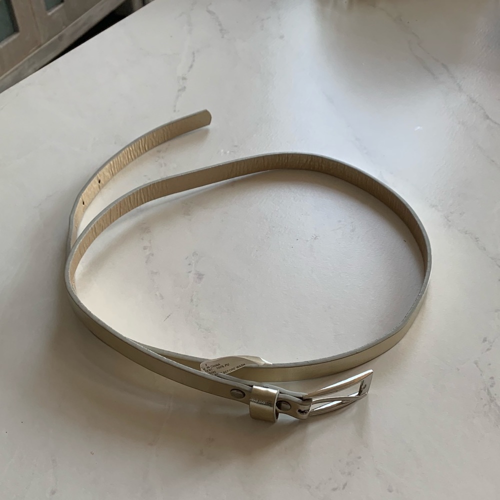 Express Metallic Skinny Belt
